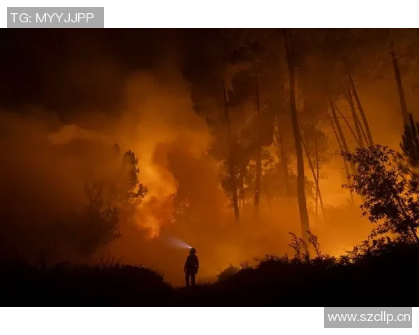 全球气候变化加剧，极端天气频发，如何应对未来挑战成为各国关注焦点