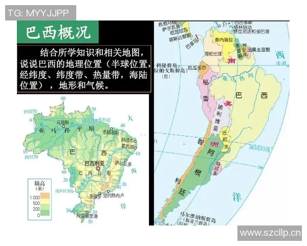 巴西足球甲级联赛历史与现状分析：发展历程、竞争格局与未来展望