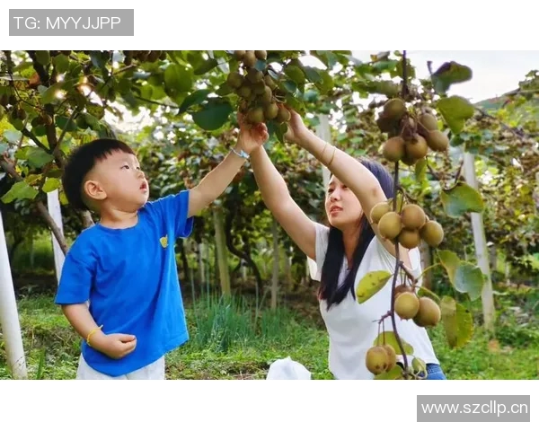 果园采摘体验：畅游果香四溢的自然乐园，享受亲手采摘的欢乐与美味