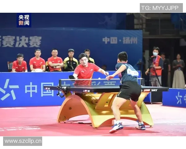 上海乒乓球队的节奏解析与深度剖析乒乓球运动的魅力与技巧