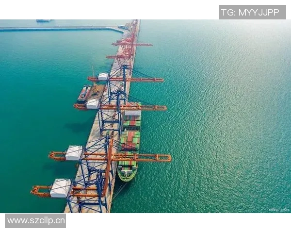 上海羽毛球队整体压制革新探索与发展之路的深度剖析与展望