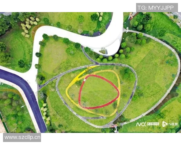 广州飞盘队速度对比深度解析与战术优势探讨