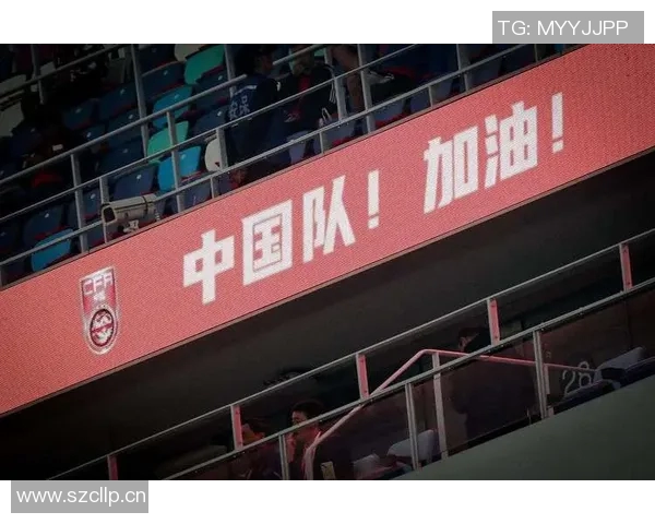 杭州排球队配合问题引发热议球迷与专家各执己见